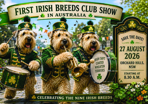 The First Show of the Irish Breeds Club of Australia