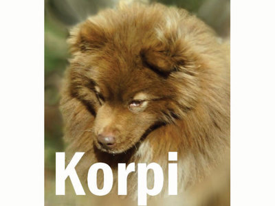 KORPI