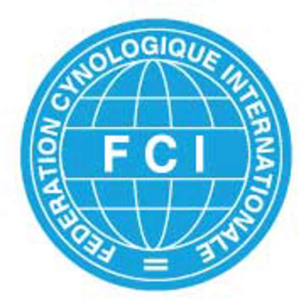 From Dogs Australia: FCI Judging and Registration - Dachshunds