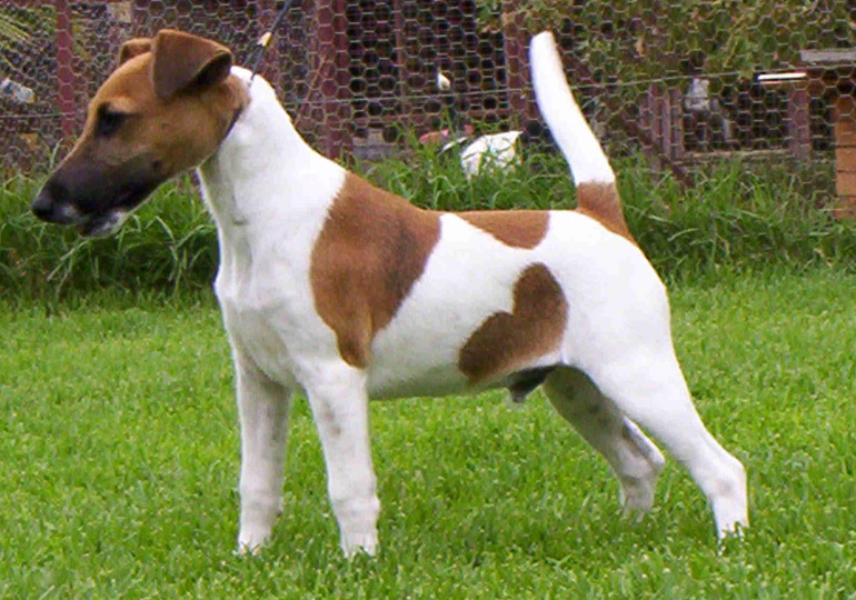 Breeder Gallery Large Image