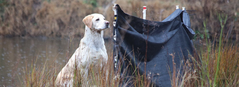 retrieving-3
