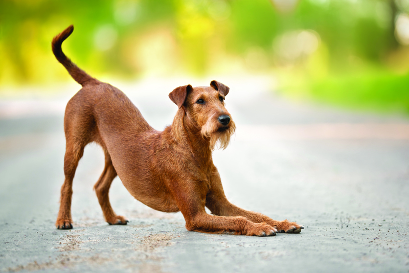 shutterstock_1768888400