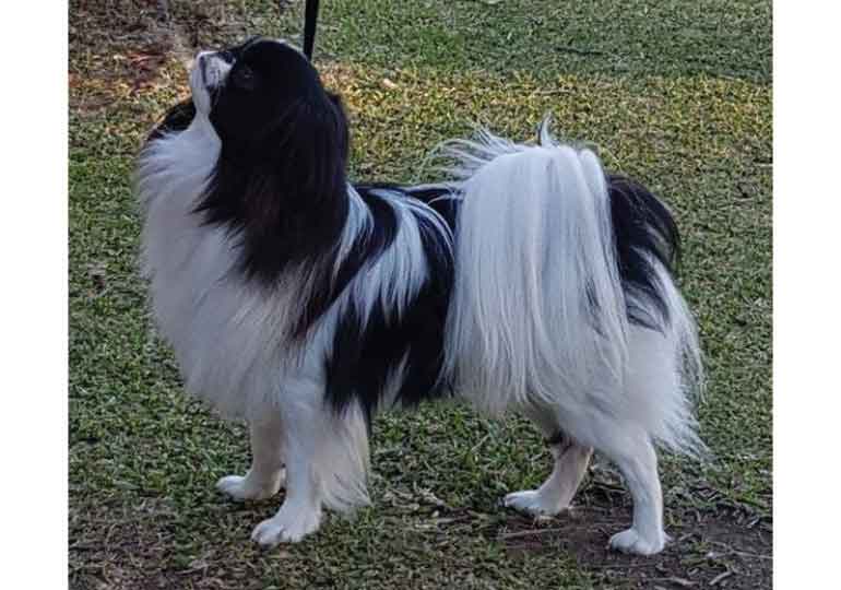 Breeder Gallery Large Image