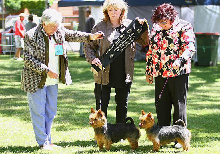 Breeder Gallery Large Image