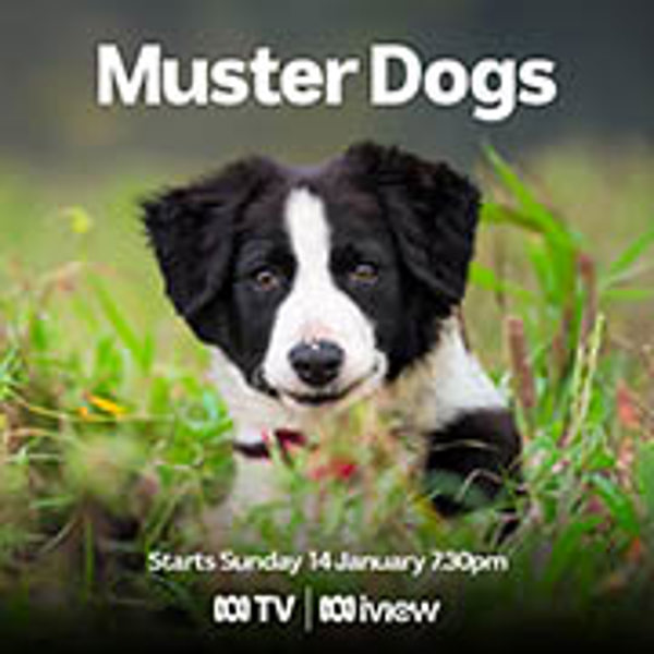 'Muster Dogs' returns in 2024