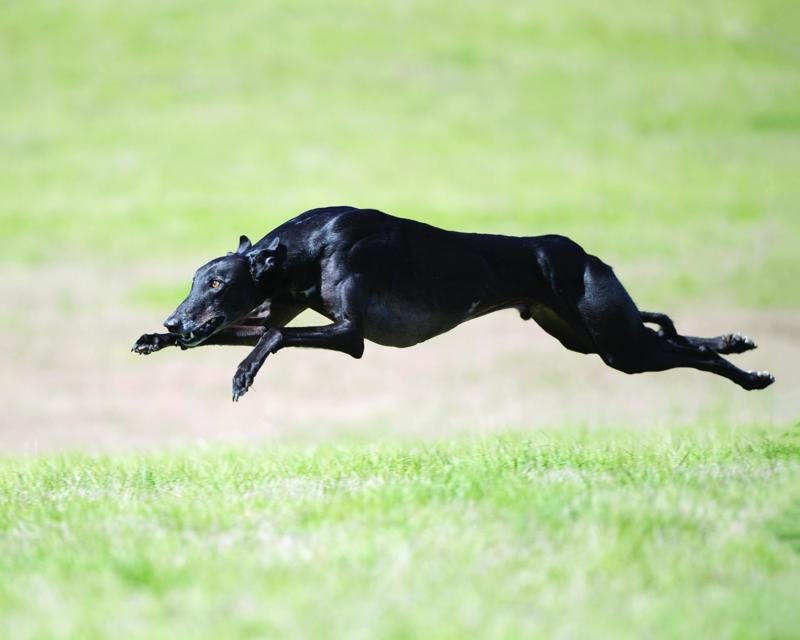 2. Submitted by Janet Ramsey. Pinnicle Photography