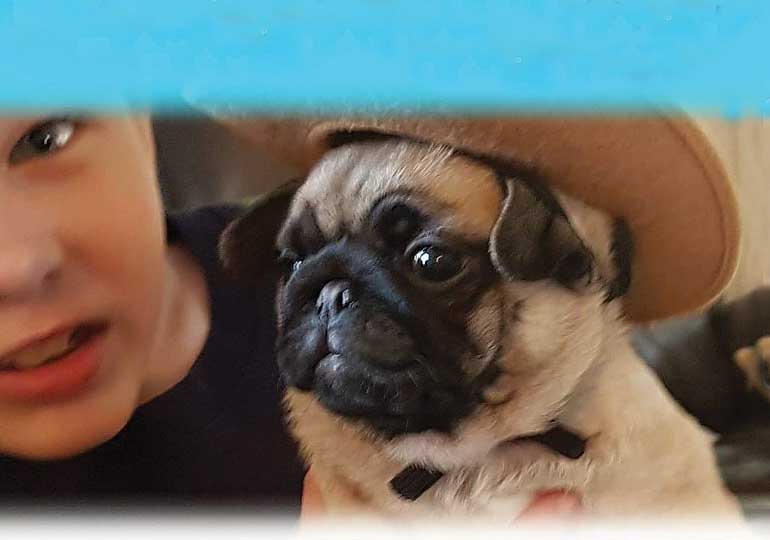 Breeder Gallery Large Image