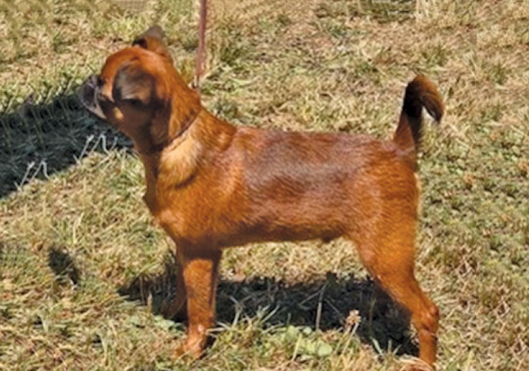 Breeder Gallery Large Image