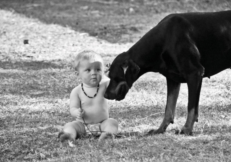 Breeder Gallery Large Image