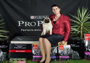 Breeder - Mrs Jenny Whitney
