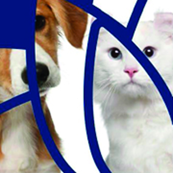 NSW Pet Registry - Breeder & Authorised Identifier Design Review