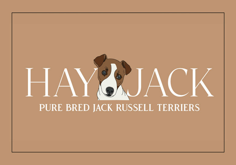 Breeder - Mrs Hayley Bonanno
