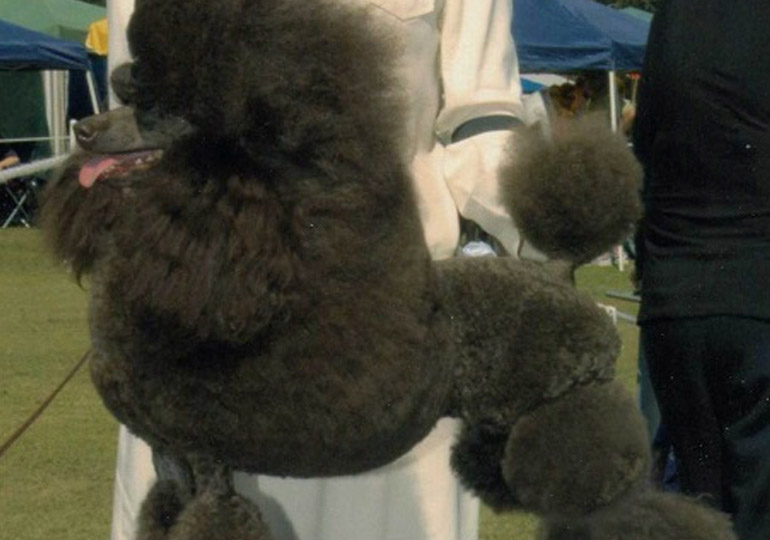 Breeder Gallery Large Image