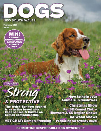 february-cover-2020