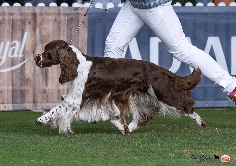 Breeder Gallery Large Image