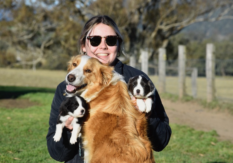 Breeder - Miss Rachael Hall