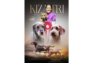 Breeder - Ms Melinda Howarth