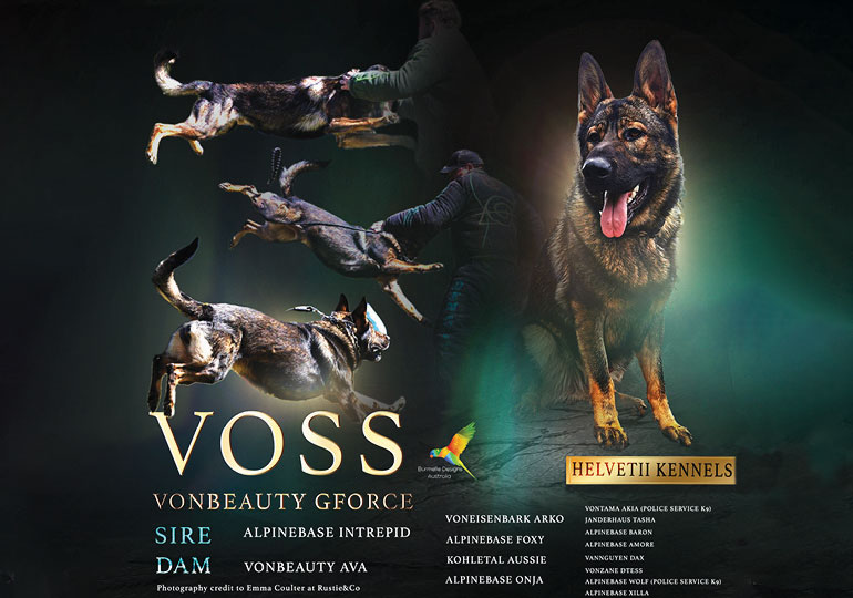 Breeder - Ms Sandra Salidu