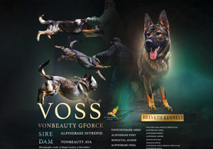 Breeder - Ms Sandra Salidu