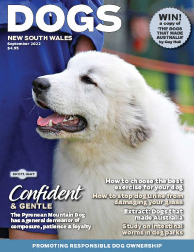 september-2022-cover
