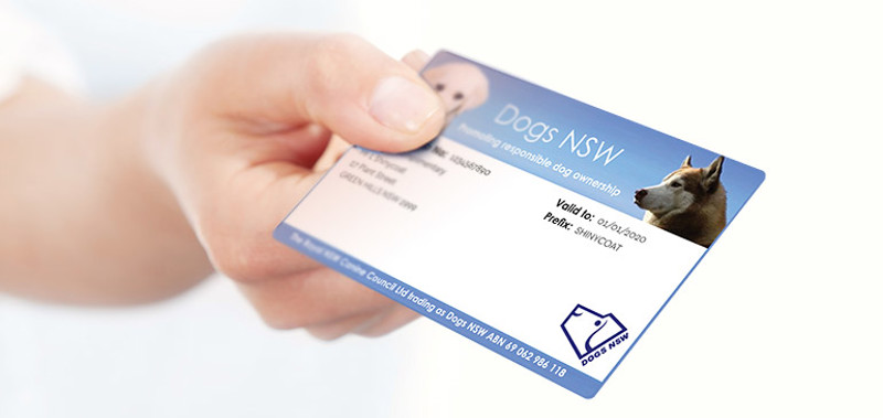 membership-card.jpg