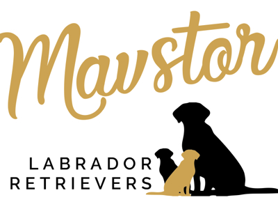 MAVSTOR