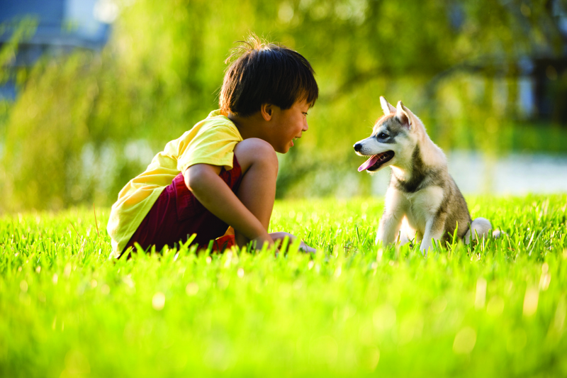 shutterstock_39704332.jpg