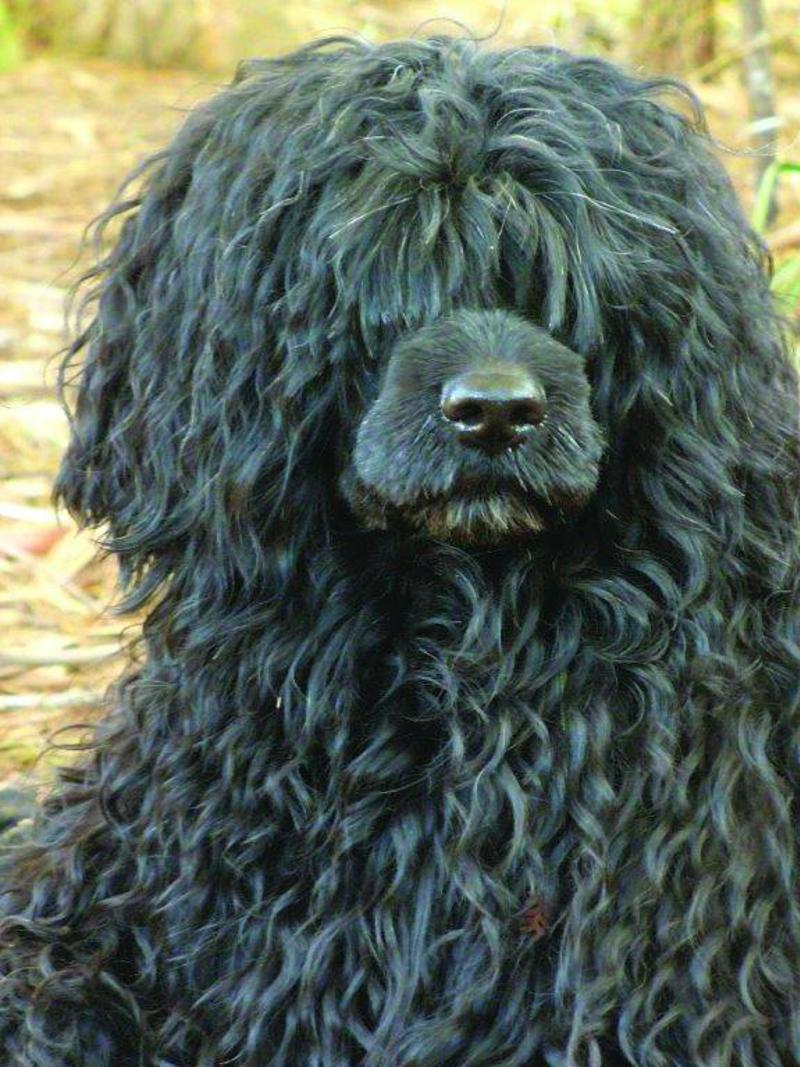 Margo Turnbull. Best head shot of HD 2