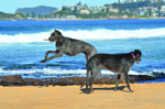 Submitted by Sandra Waugh. DSC_6531