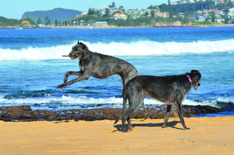 Submitted by Sandra Waugh. DSC_6531