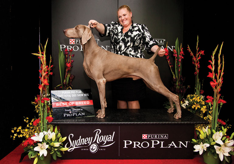 Breeder Gallery Large Image