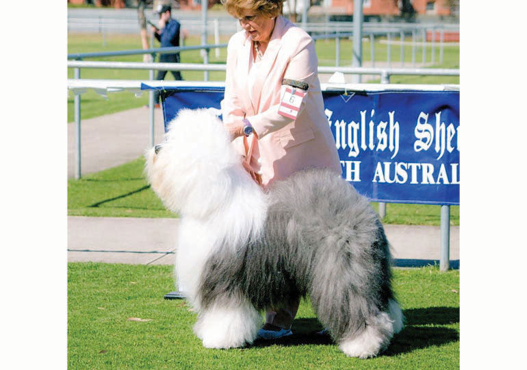 Breeder Gallery Large Image