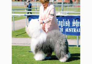 Breeder - Mrs Pauline Hartwell