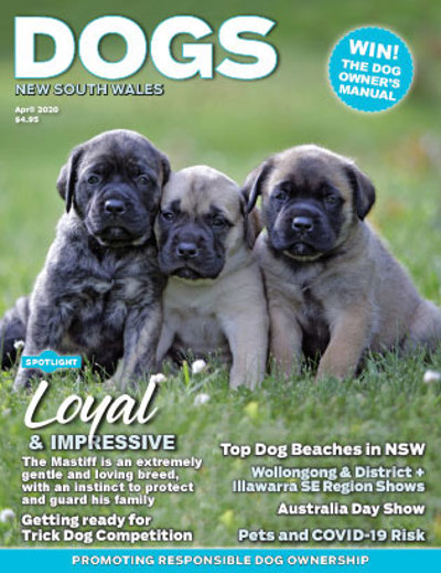 april-cover-2020