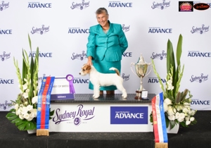 Breeder - Mrs Leesa Musgrove