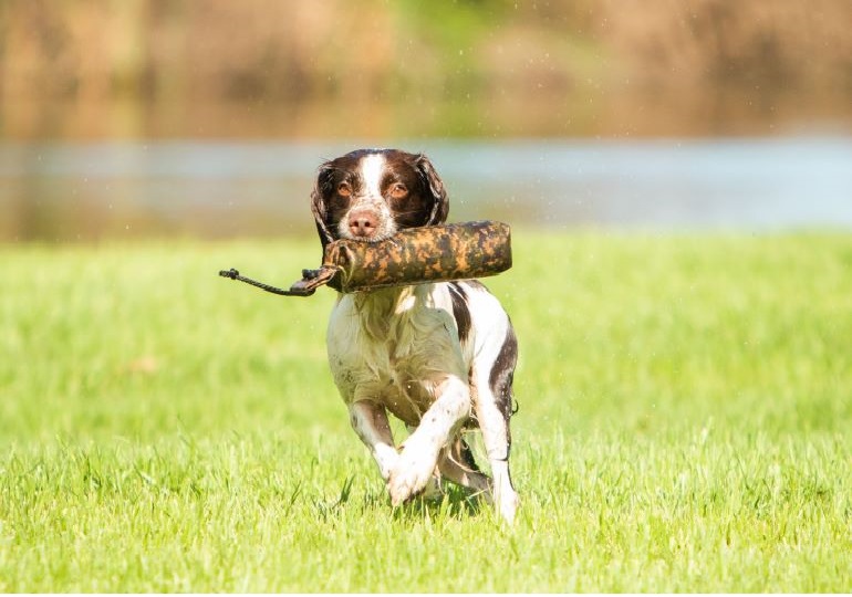 Breeder Gallery Large Image