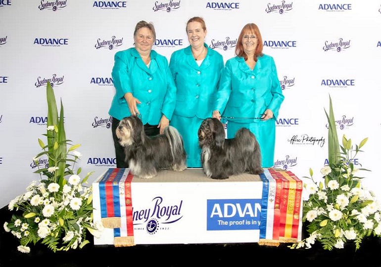 Breeder - Ms Gail Ransom