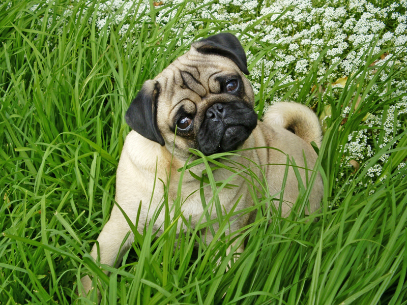 Shutterstock.com - edited
