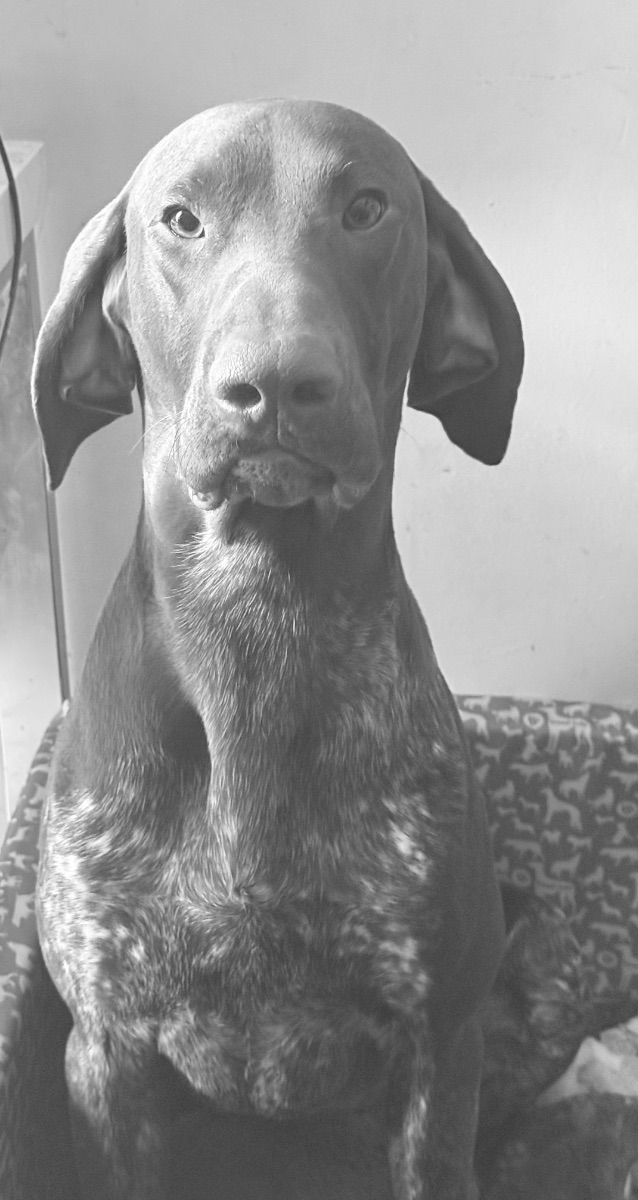 Breeder Gallery Large Image