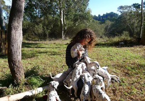 Breeder - Mrs Barbara Helland