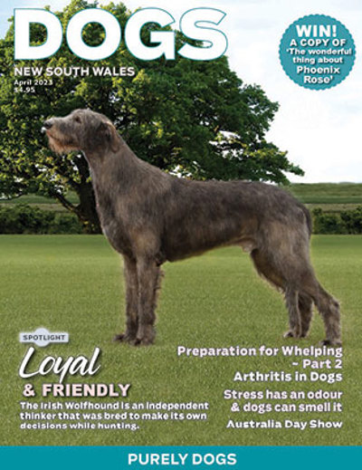 april-2023-cover