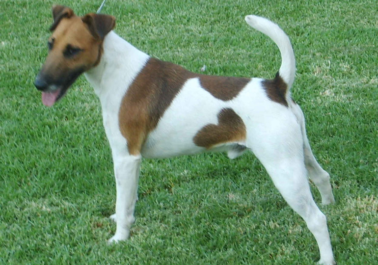 Breeder Gallery Large Image