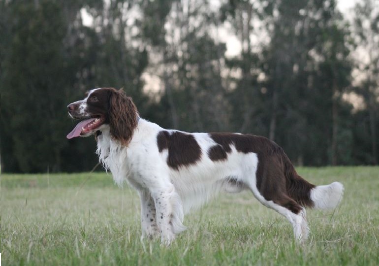 Breeder Gallery Large Image