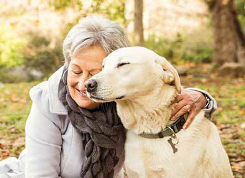 pet-care-planning-image.jpg
