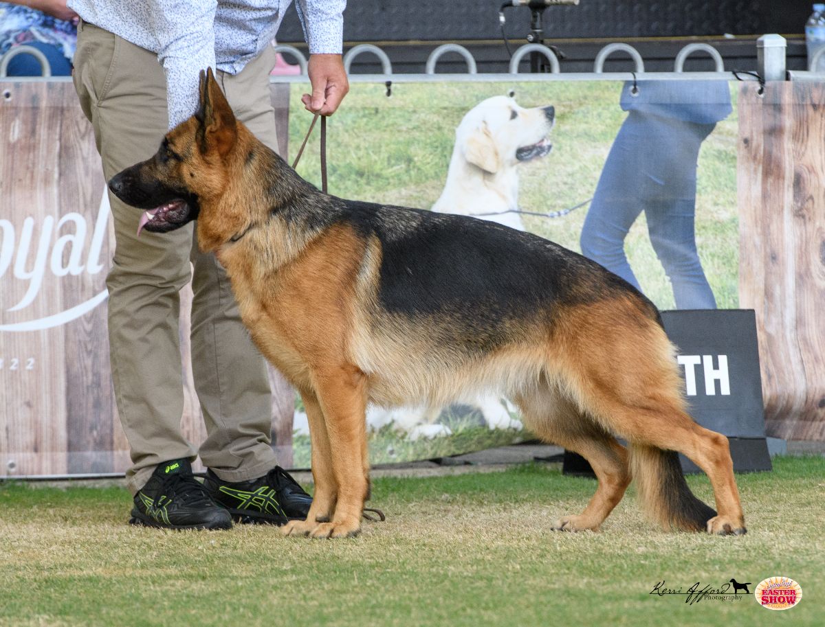 Breeder Gallery Large Image