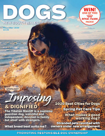 november-cover-2020