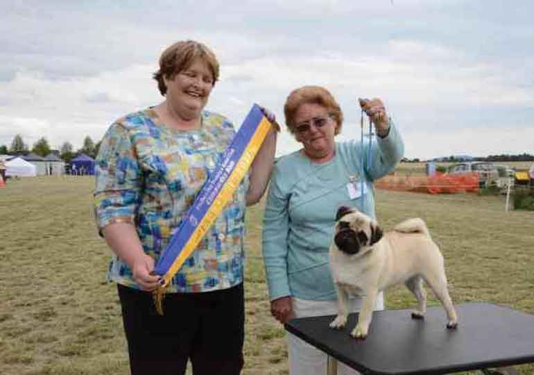 Breeder - Ms carol roach
