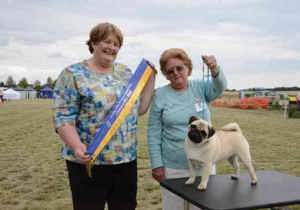 Breeder - Ms carol roach