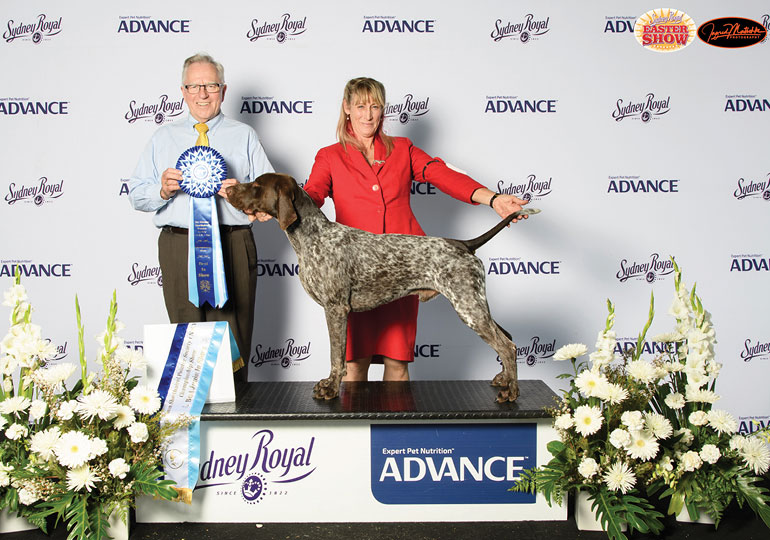 Breeder - Miss Lara Haynes