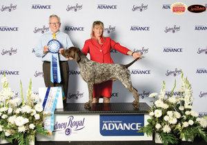 Breeder - Miss Lara Haynes